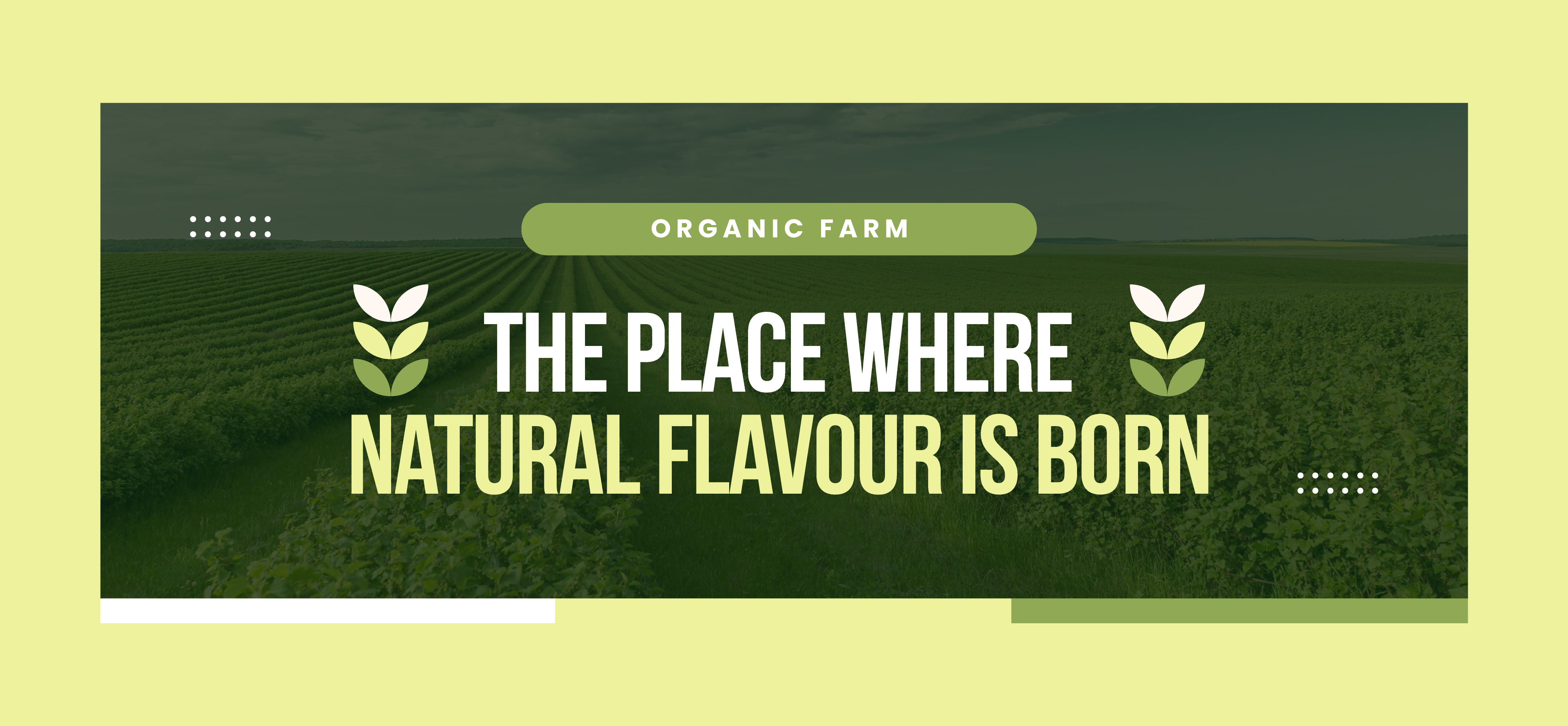 Интернет-магазин одежды - Besarabochka